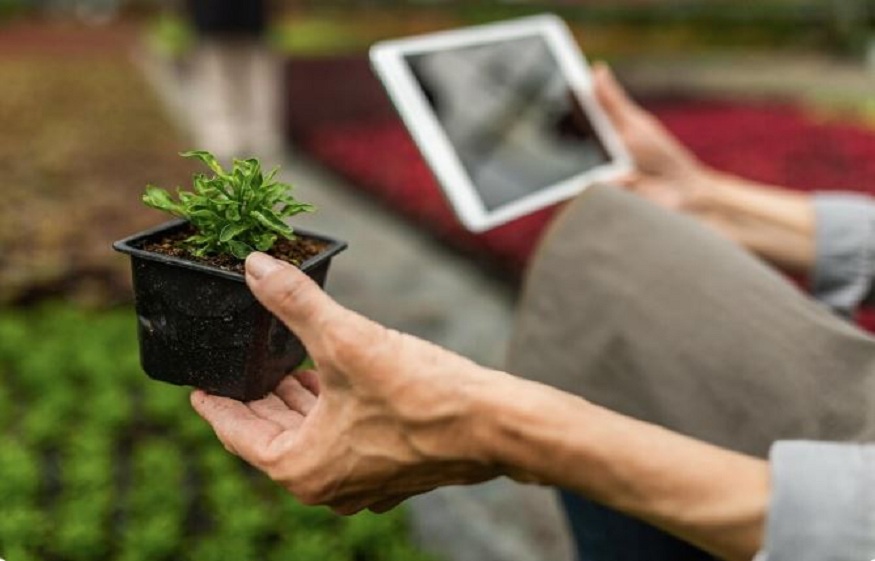 horticulture software